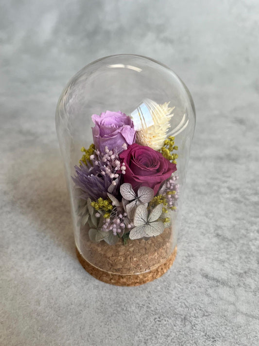 Preserved rose flower glass dome