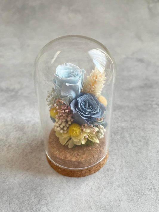 Preserved rose flower glass dome