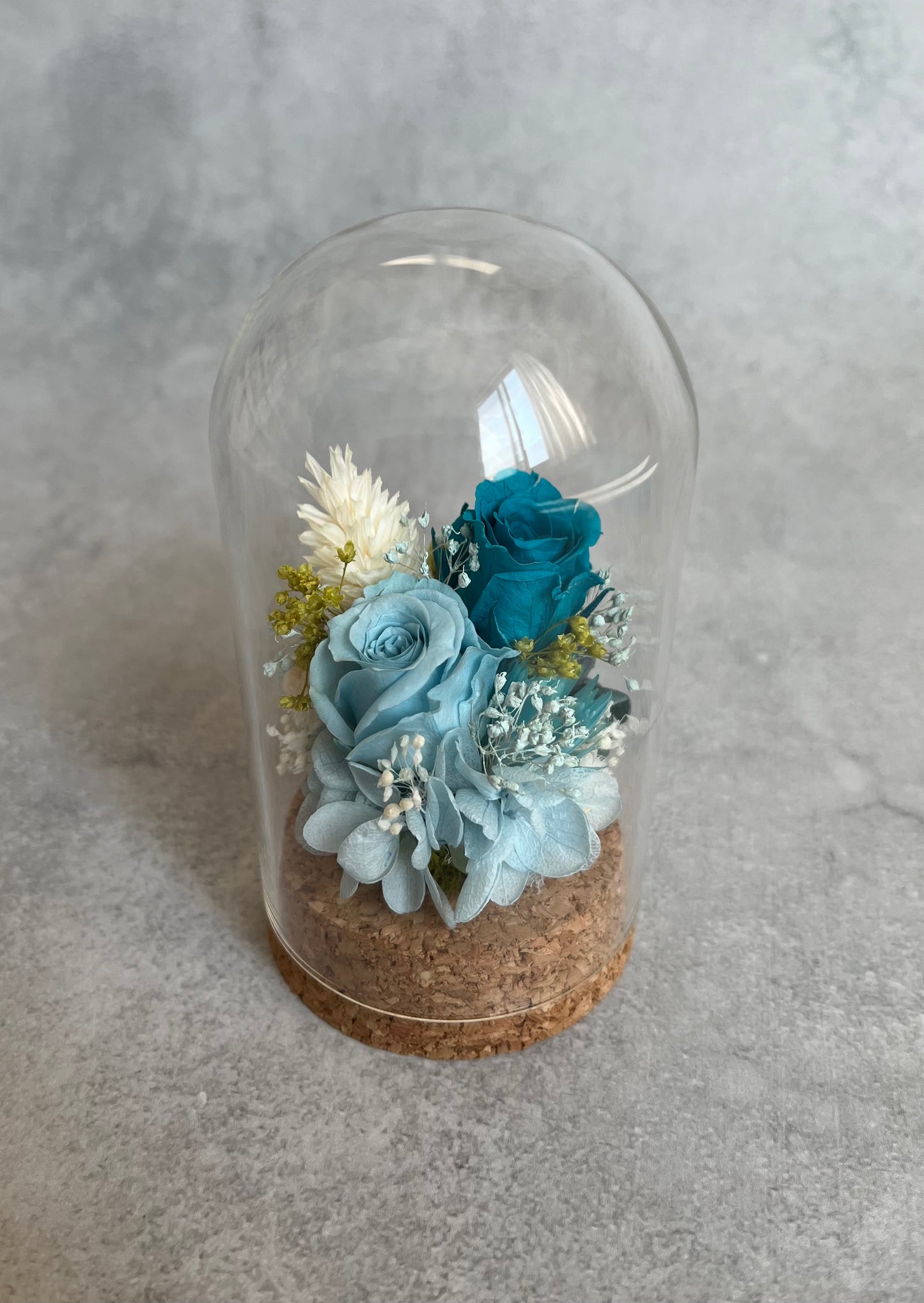 Preserved rose flower glass dome