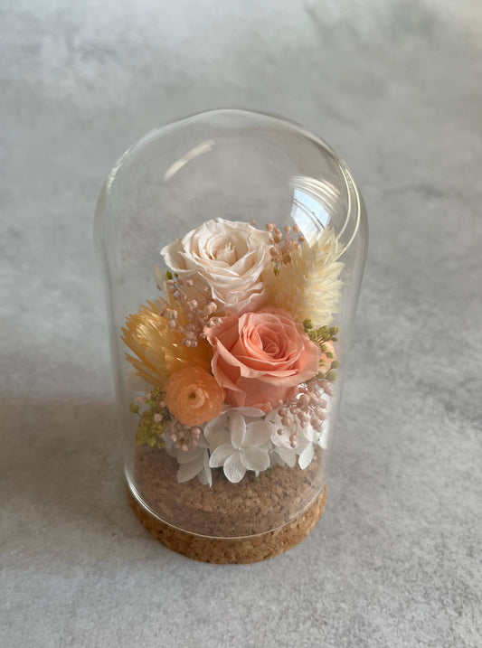 Preserved rose flower glass dome