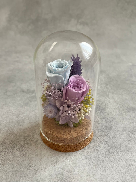 Preserved rose flower glass dome