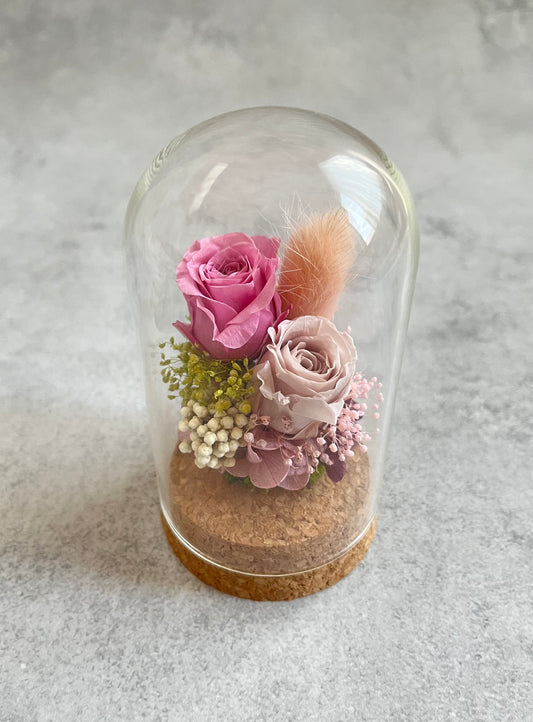 Preserved rose flower glass dome